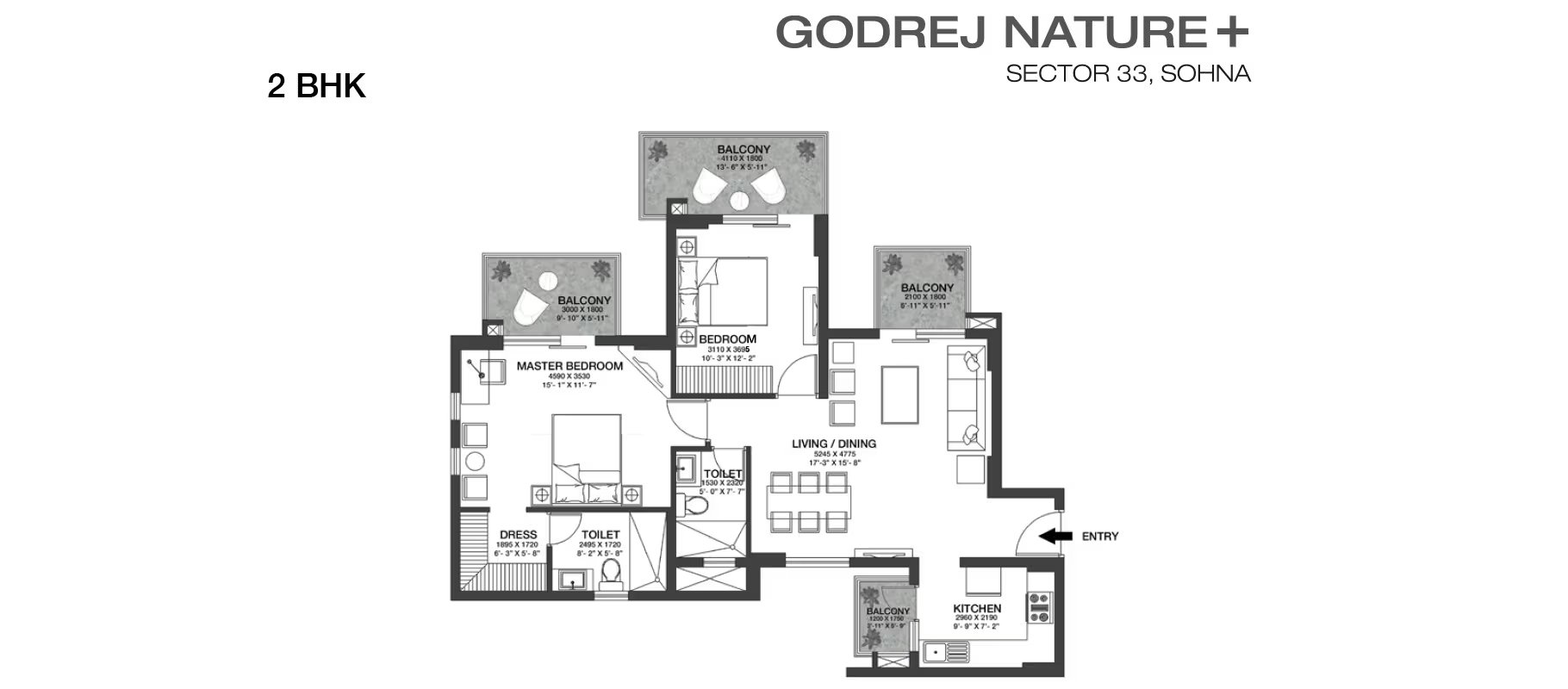 Layout 1